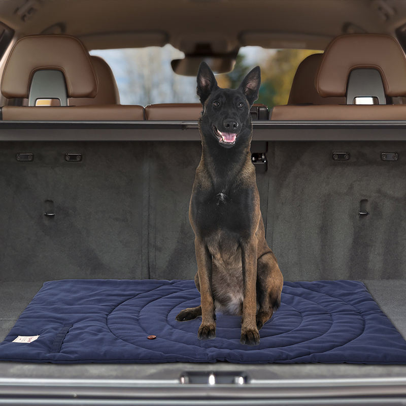 Alas hewan peliharaan portabel - Outdoor Camping Dog Bed ulasan dan harga